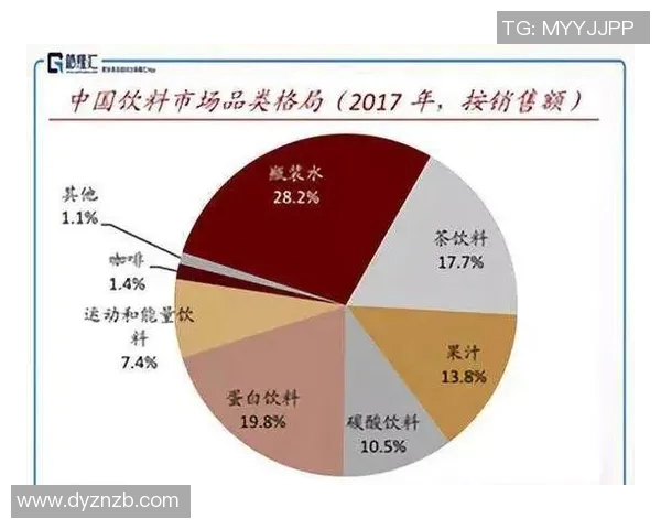 杭州羽毛球队的转型之路与未来发展展望分析