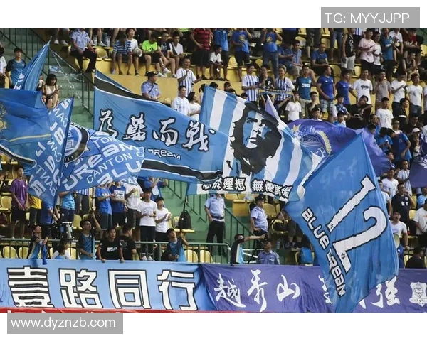 广州排球队运营分析：成功经验与面临挑战的深度探讨