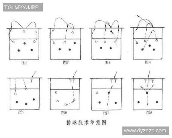 深圳排球队反击战术分析与得失总结探讨